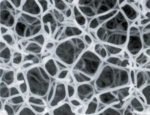 detail-11.jpg