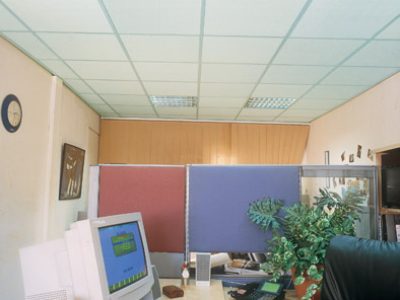 office-6.jpg